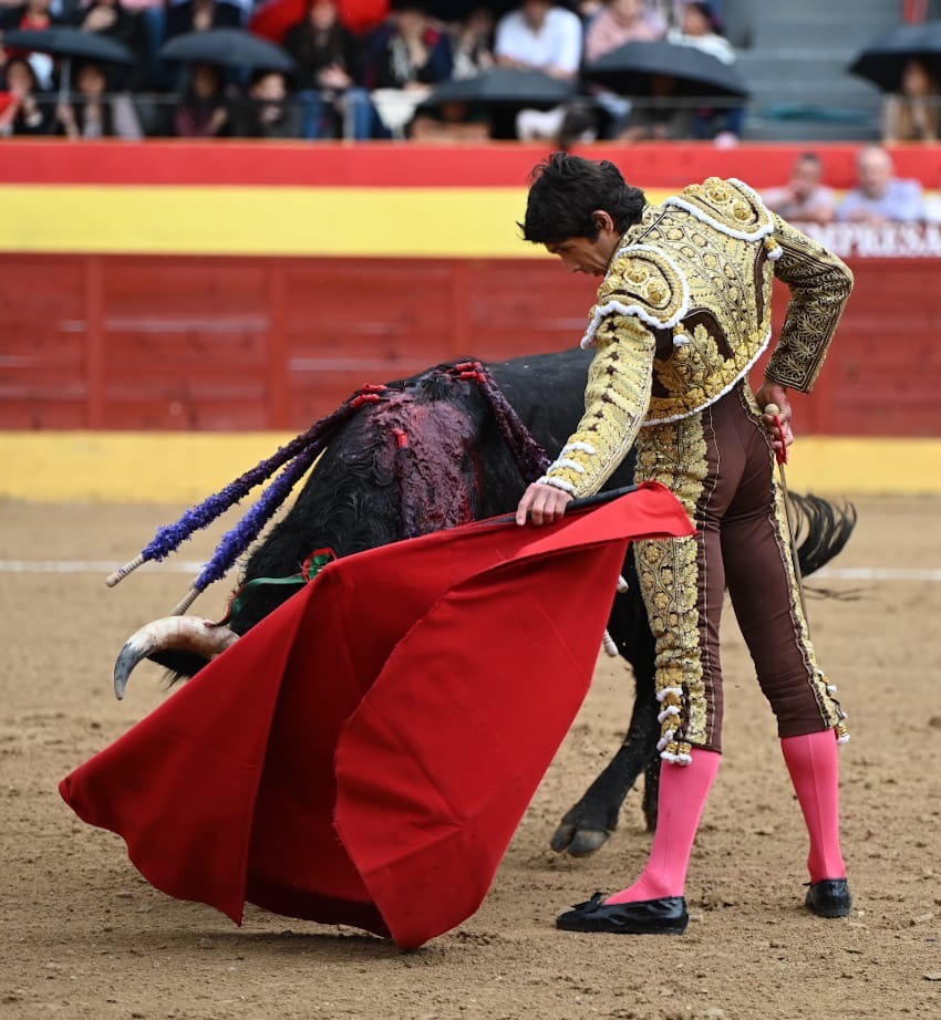 Imagen 2