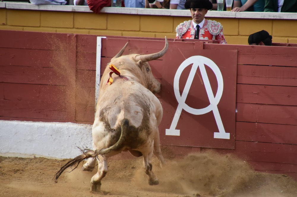 Imagen 2