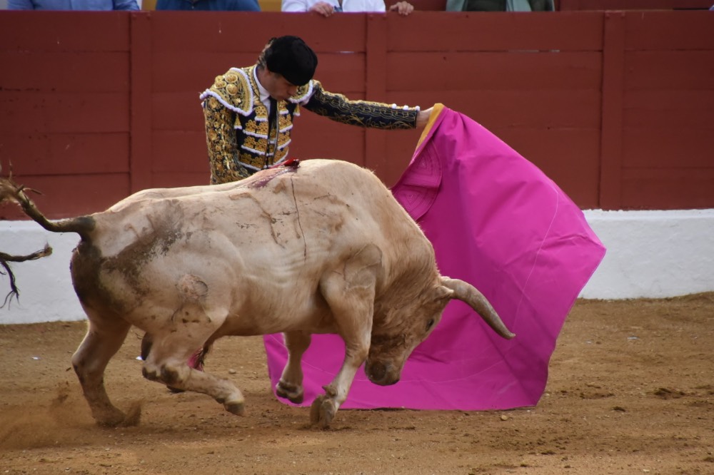 Imagen 3