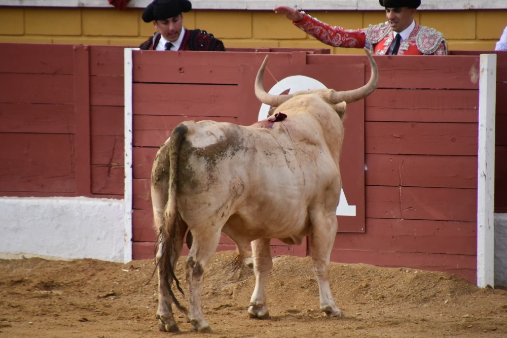 Imagen 5