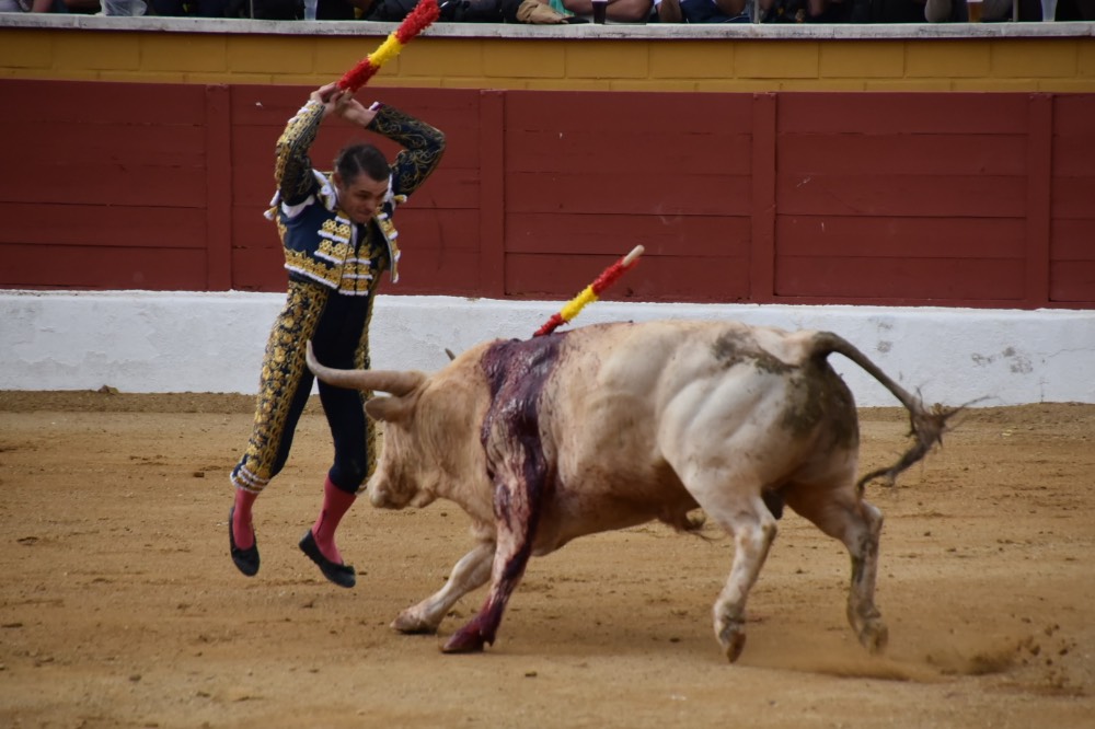 Imagen 6