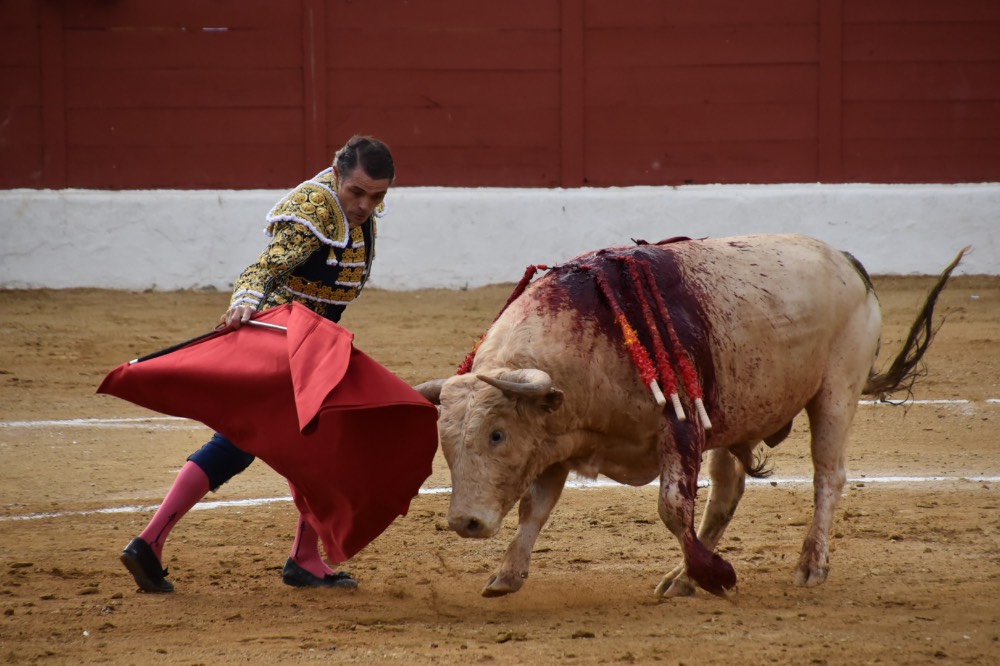 Imagen 7