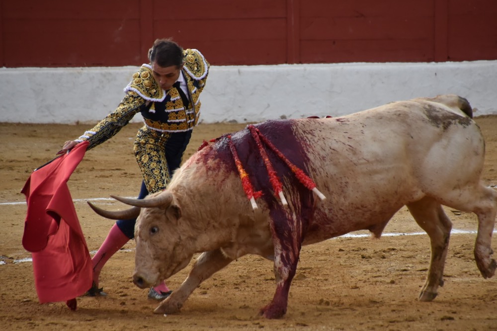 Imagen 8