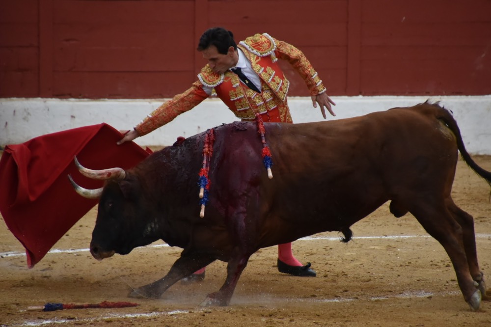 Imagen 9