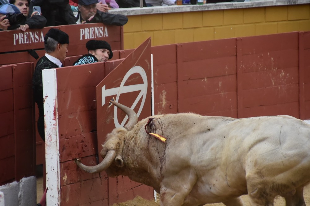Imagen 10