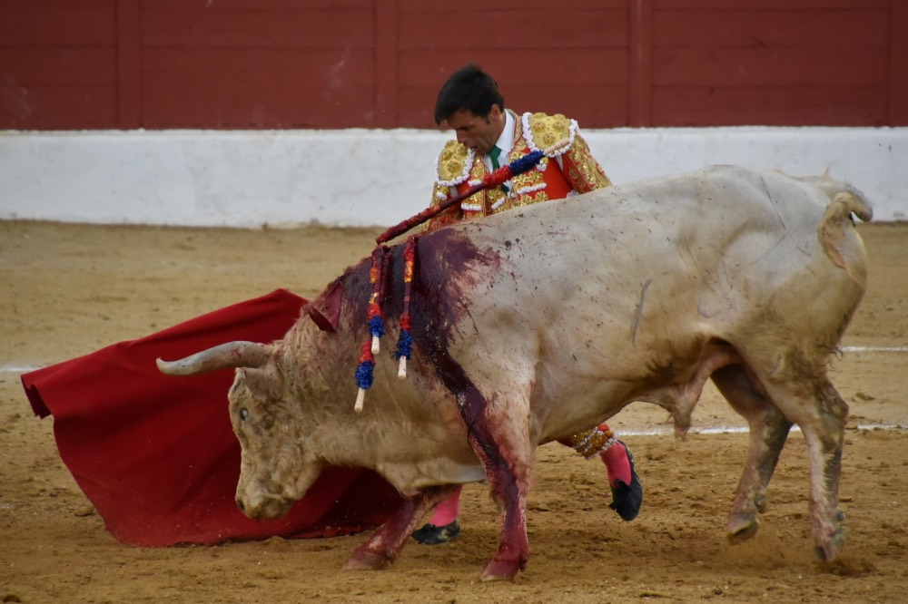 Imagen 11