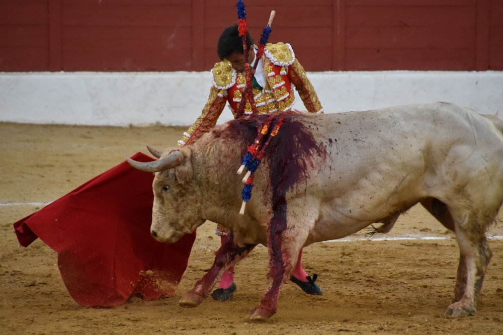 Imagen 12