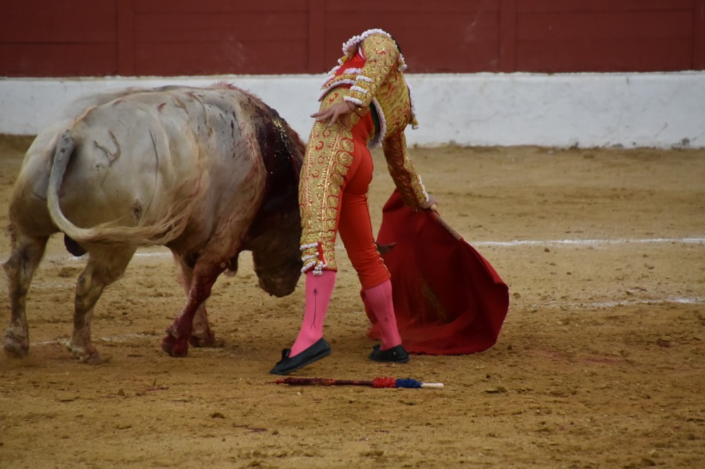 Imagen 13