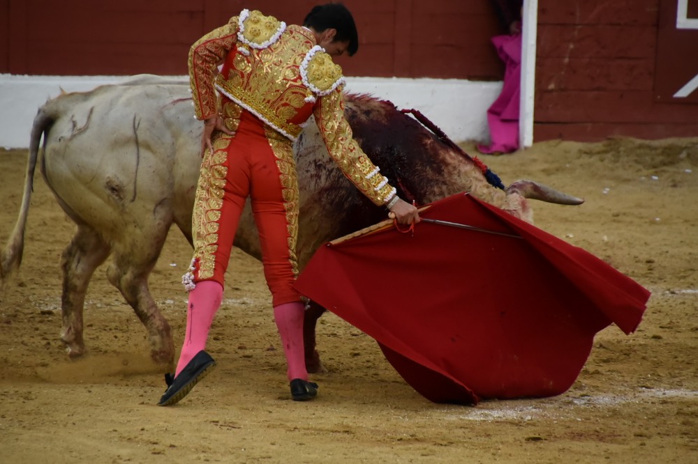 Imagen 14
