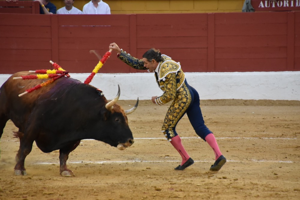 Imagen 16