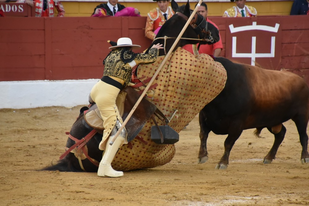 Imagen 18