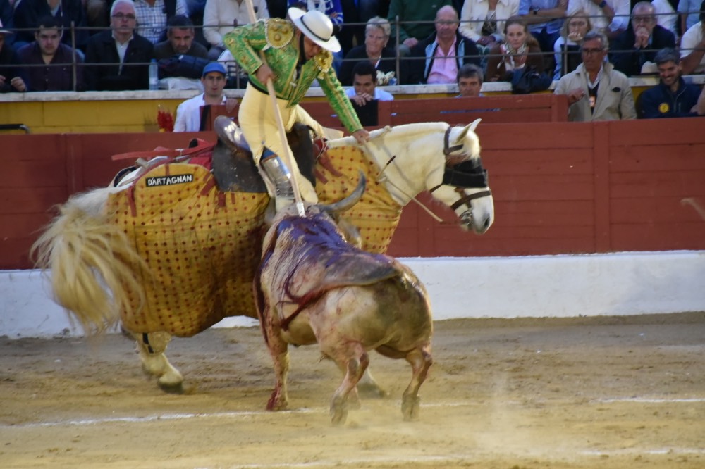 Imagen 20