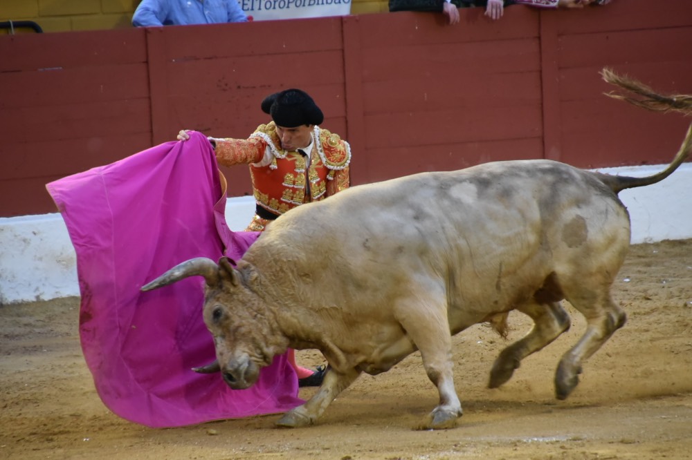 Imagen 21