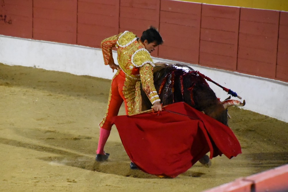 Imagen 22