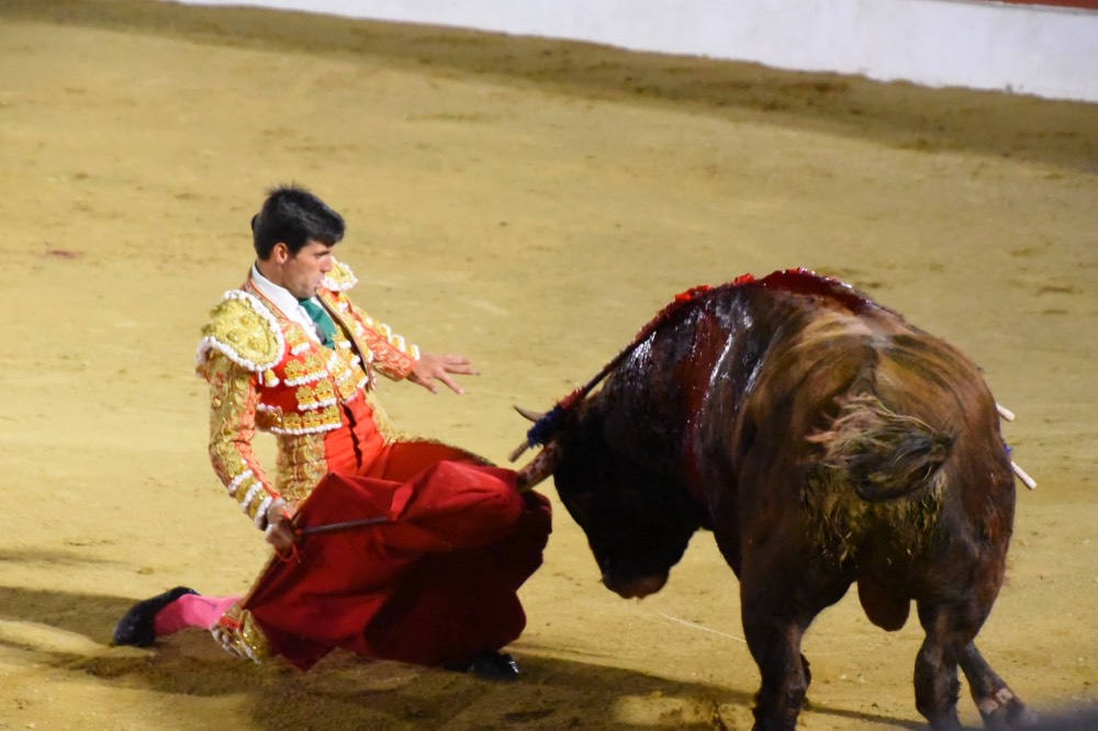 Imagen 23