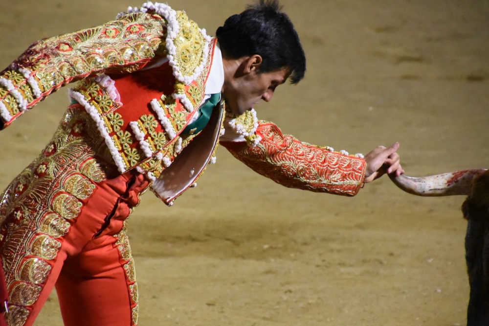 Imagen 24