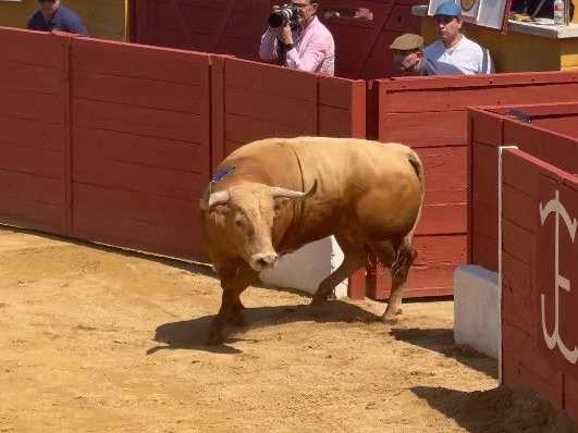 Los aceros deja sin orejas la última de San Agustín de Guadalix