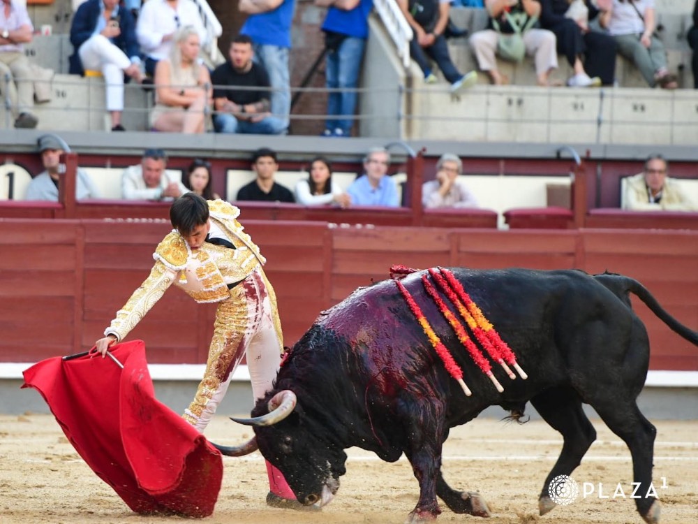 Imagen 1