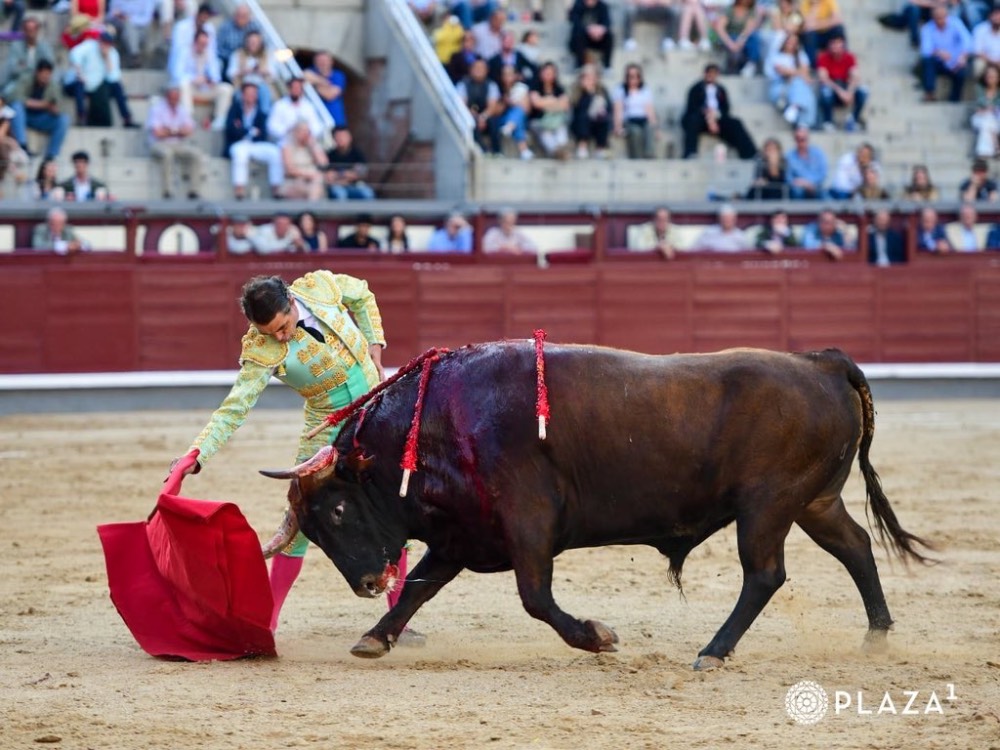 Imagen 2
