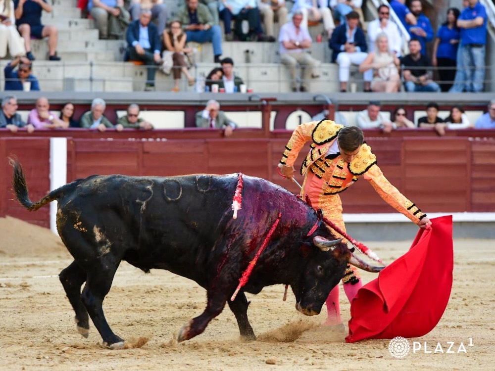 Imagen 3