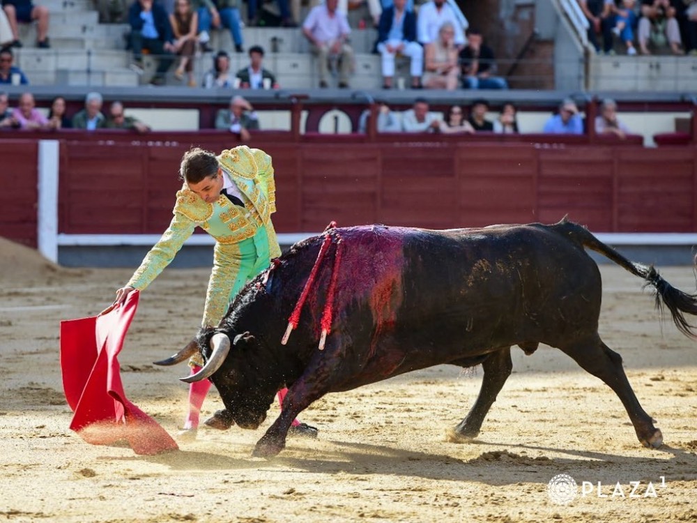 Imagen 5