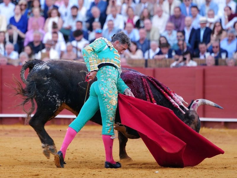 Escribano corta una oreja y Román firma lo más rotundo ante la dureza de Miura en Sevilla