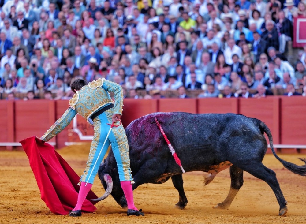 Imagen 2