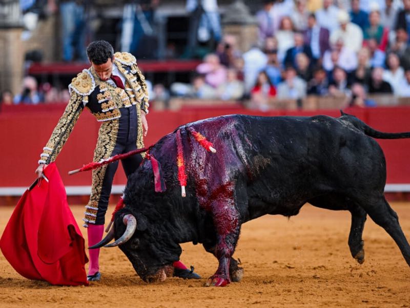 David de Miranda, protagonista en Sevilla: “Abrir la Puerta del Príncipe de nuevo demuestra que no fue casualidad”