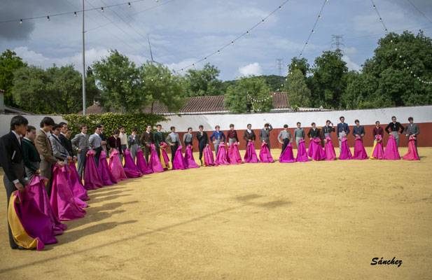 Imagen 15