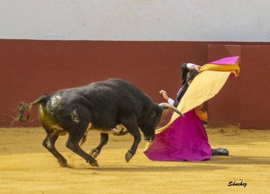 Imagen 17