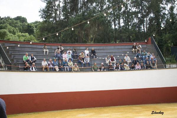 Imagen 18