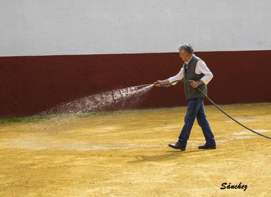 Imagen 19