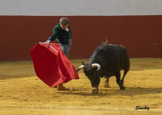 Imagen 22