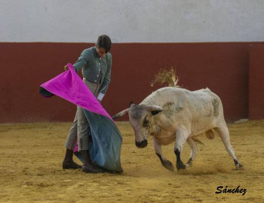 Imagen 23