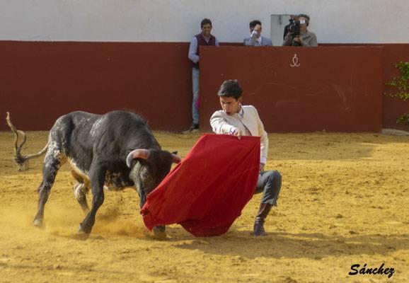 Imagen 25