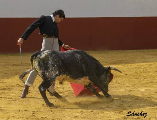 Imagen 26