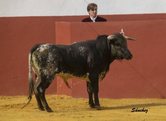 Imagen 27