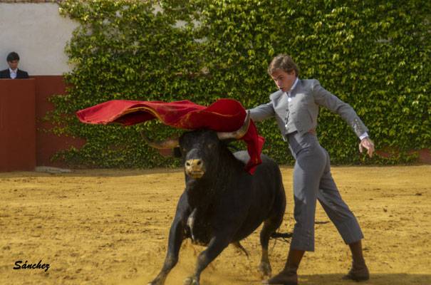 Imagen 28