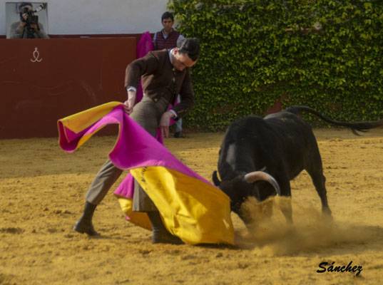 Imagen 30