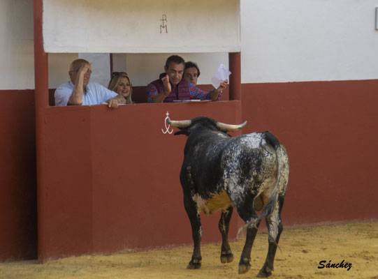 Imagen 33