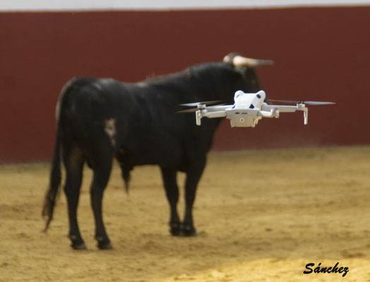 Imagen 36