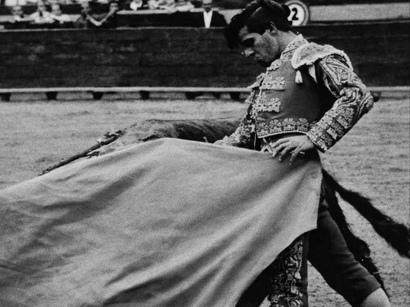 Alicante rinde homenaje a Gregorio Tébar “El Inclusero” con un tentadero público en el 60º aniversario de su alternativa