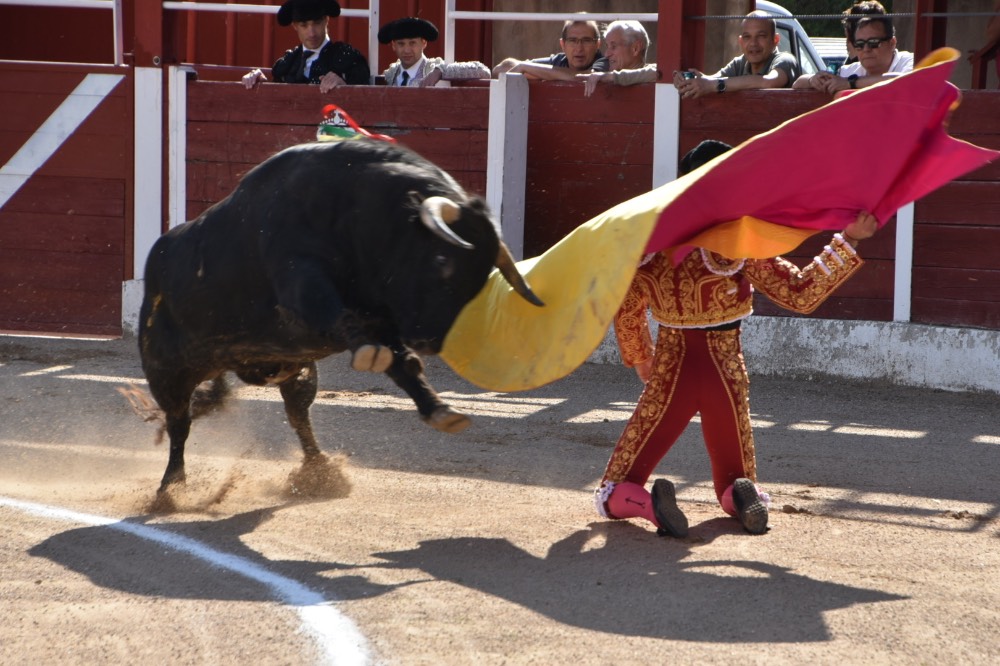 Imagen 1