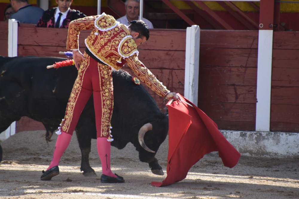 Imagen 2