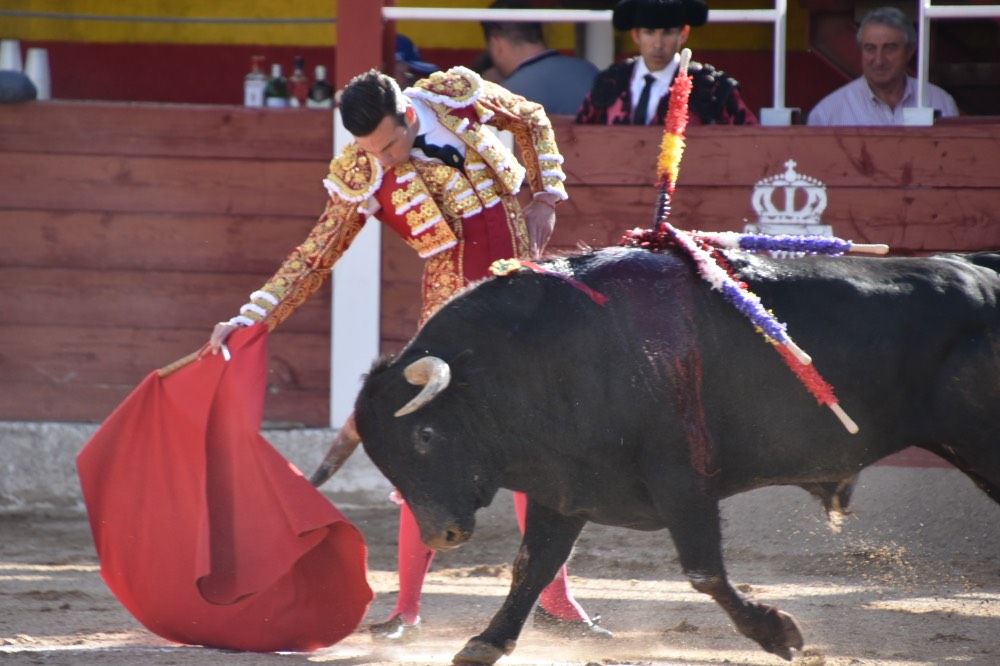 Imagen 3