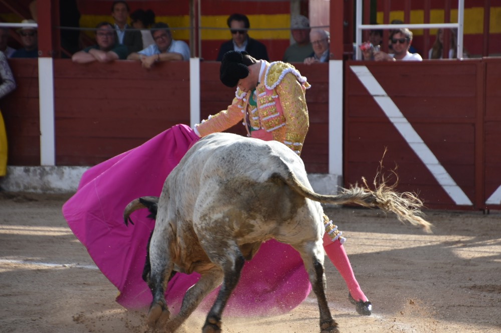 Imagen 4