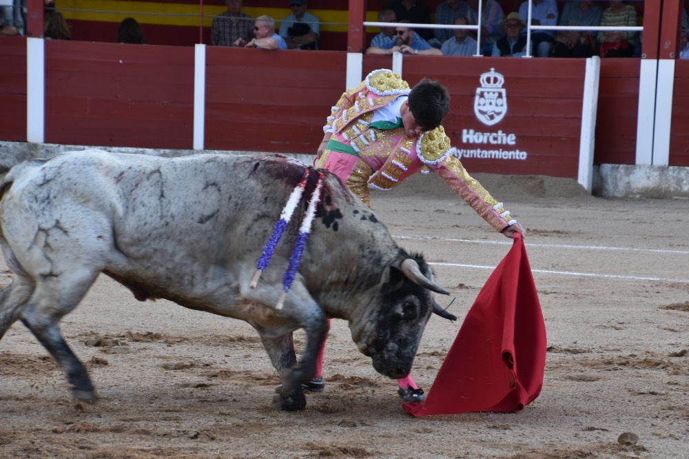 Imagen 5
