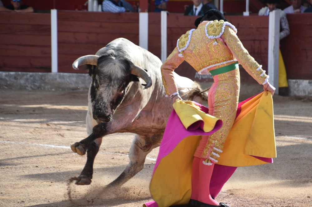 Imagen 6