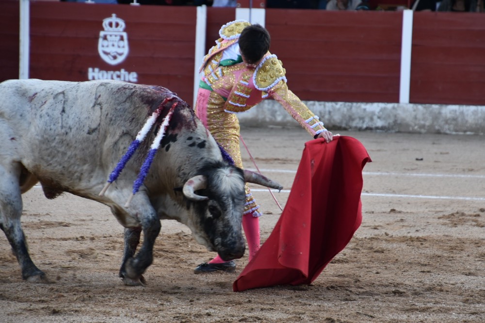 Imagen 7