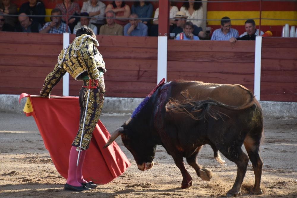 Imagen 8